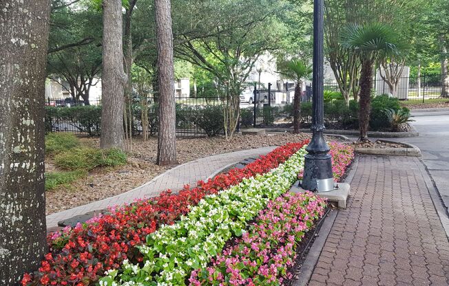 Serena Woods Apartments
