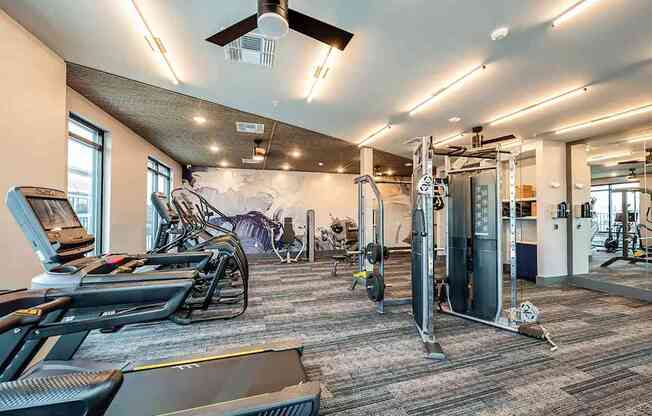 Sleek fitness center with cardio and weights at The Citizen at Waterset in Apollo Beach, FL