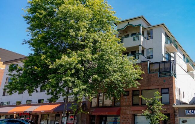 Adria Northstar Properties, LLC