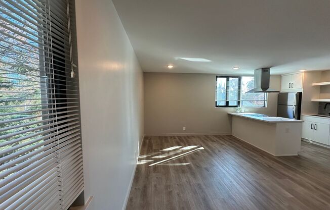 Studio, 1 bath, 425 sqft, $1,650, Unit 201