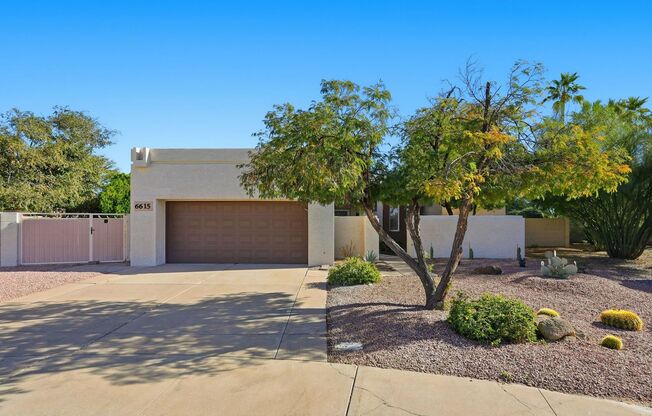 Newly remodeled and pristine in Scottsdale!