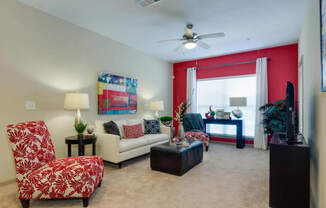 Carpeted living room with large windows at Ashley Auburn Pointe in Atlanta, GA