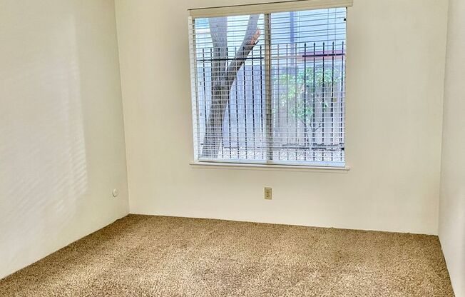 1 bed, 1 bath, $1,395, Unit #13