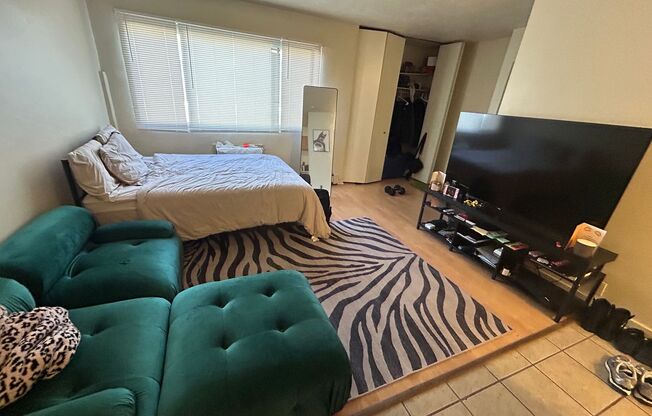 Studio, 1 bath, $750, Unit 310