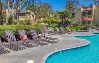 Pool lounge chairs.jpg