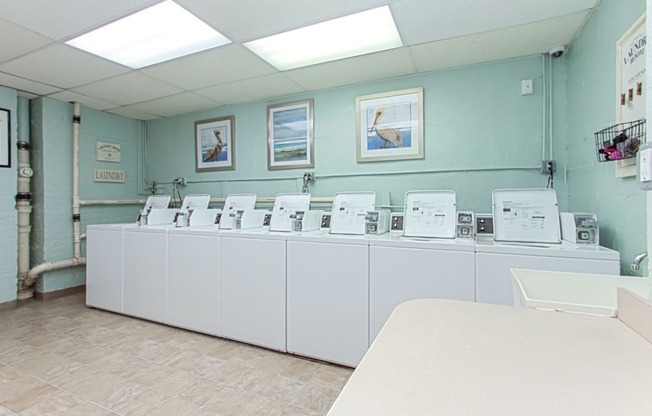 the calverton apartments laundry room
