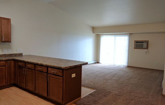 3 beds, 2 baths, 1,170 sqft, $1,380, Unit 5160-311