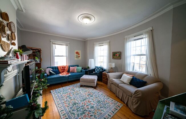 133 - 135 St Alphonsus St