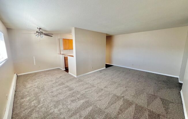 2 beds, 1 bath, 900 sqft, $920, Unit 24