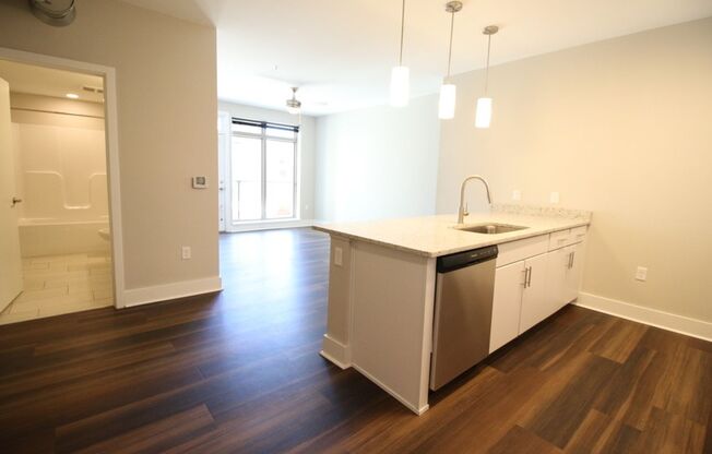 1 bed, 1 bath, 533 sqft, $1,495, Unit APT 410