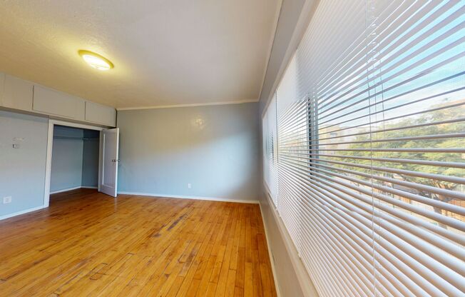 3401 International Blvd