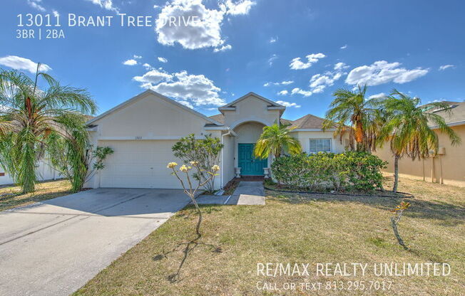 13011 BRANT TREE DR