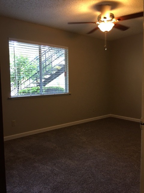 1 bed, 1 bath, 700 sqft, $1,300, Unit 101