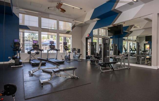 A gym with a variety of equipment including treadmills, weights, and a fan.