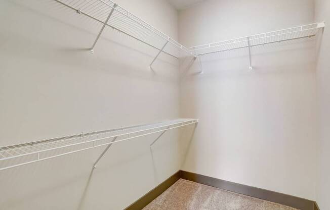 Pet-Friendly Apartments in Nashville, TN- Octave Apartments- large walk in closet with built in shelves