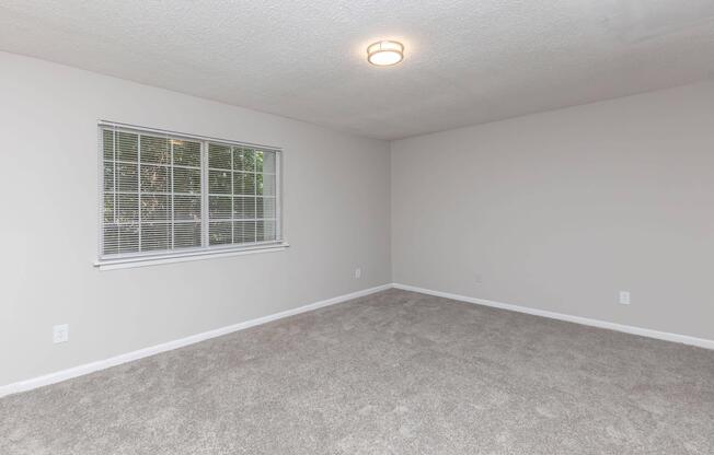 1 bed, 1 bath, 800 sqft, $1,265