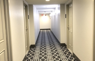1 bed, 1 bath, 655 sqft, $3,250, Unit 313