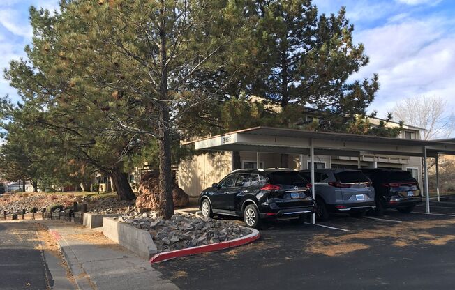 MOVE IN SPECIAL - 1/2 OFF THE 1ST MONTH RENT FOR QUALIFIED APPLICANT(S) - SUPER CUTE UNIT- BRAND NEW CARPET AND PAINT THROUGHOUT- ONLY $1,125 PER MONTH - THIS ONE WON'T LAST