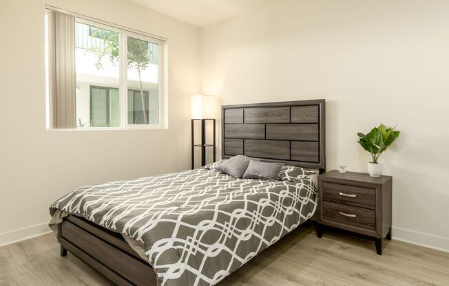1 bed, 1 bath, 590 sqft, $2,245, Unit 317