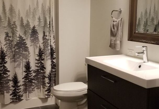 1 bed, 1 bath, 734 sqft, $1,795, Unit 806