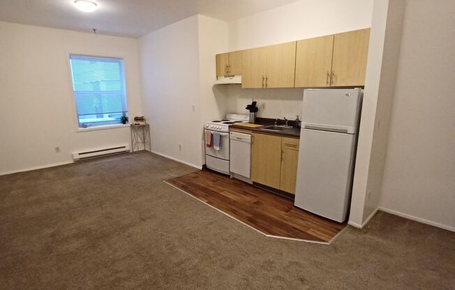 Studio, 1 bath, 315 sqft, $1,100