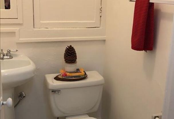 Studio, 1 bath, 412 sqft, $1,389, Unit 104