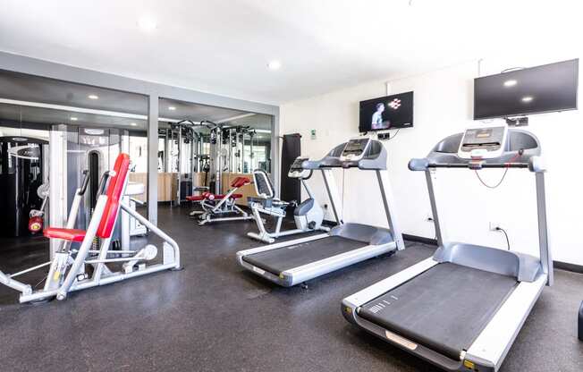 Fitness Center with Treadmill and Gym Equipment