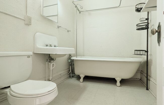 1 bed, 1 bath, 295 sqft, $555, Unit 405