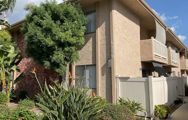 4338 Mammoth Ave Apts