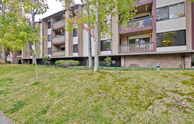 2 beds, 2 baths, $3,500, Unit APARTMENT 111