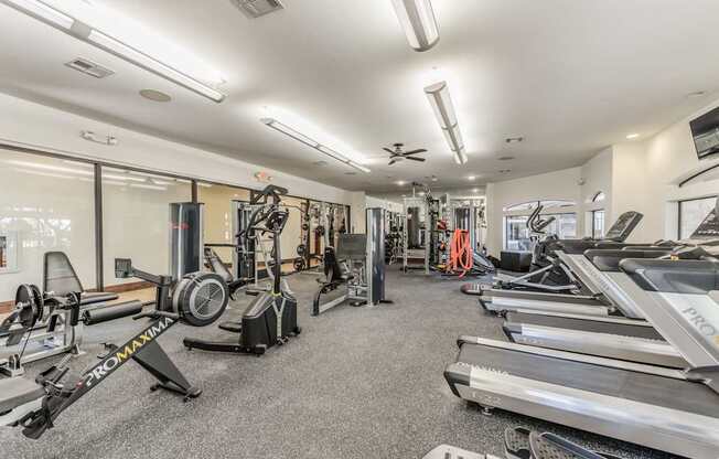 A gym with treadmills, weights, and exercise equipment.