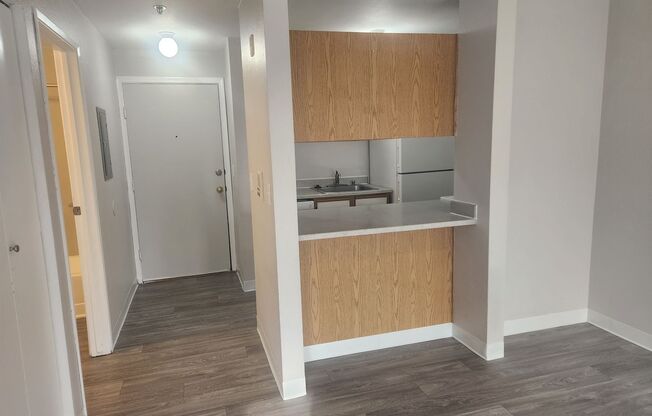 Studio, 1 bath, 442 sqft, $1,350, Unit A-303