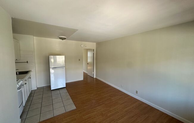 029 (2199 Turk)