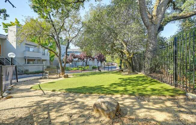 Dog Park On Site  with fenced in area with turf, water drinking fountian for dogs and shaded by large oak tree.