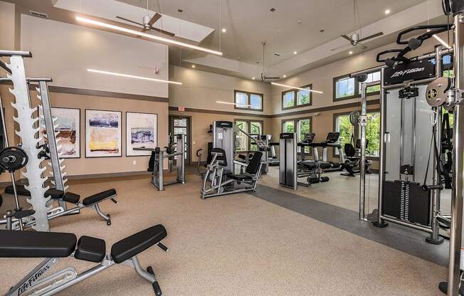 A gym with a variety of equipment including a weight bench, a squat rack, and a treadmill.