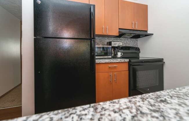 Granite Counter Tops In Kitchen at Raleigh House Apartments, MRD Apartments, Michigan