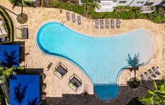 A large swimming pool surrounded by palm trees and lounge chairs.