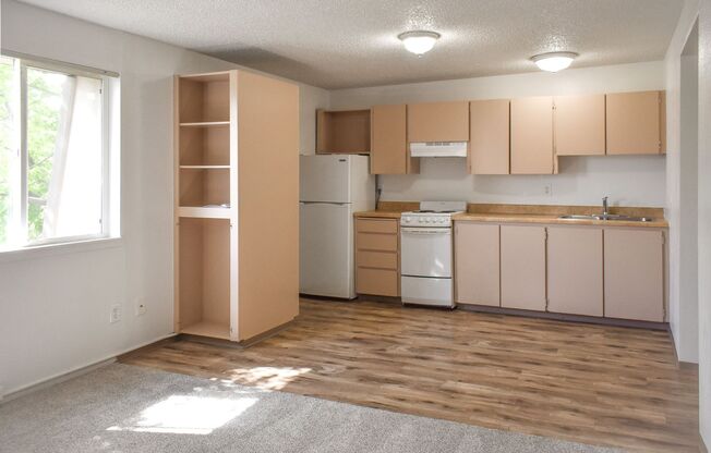 Studio, 1 bath, 476 sqft, $950, Unit 21