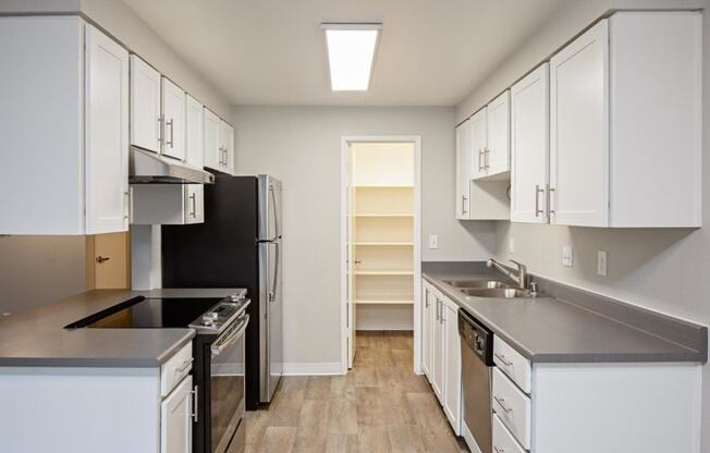 Newly Renovated 1-, and 2-Bedroom Apartments