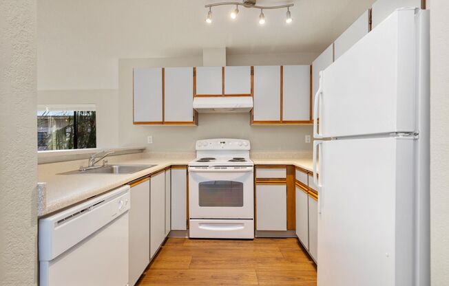Studio, 1 bath, 504 sqft, $1,646, Unit 410
