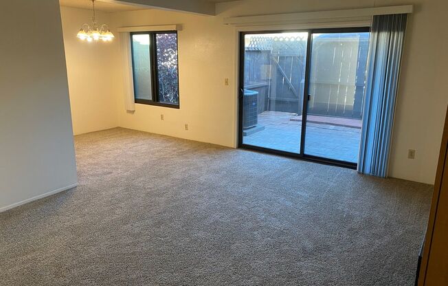 Large 1BR Condo with 2 Parking Spots & Patio