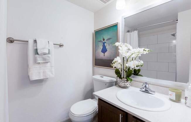 Welcome to The Sycamore at Scottsdale Apartments