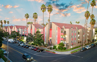 a city street with a row of buildings and palm trees