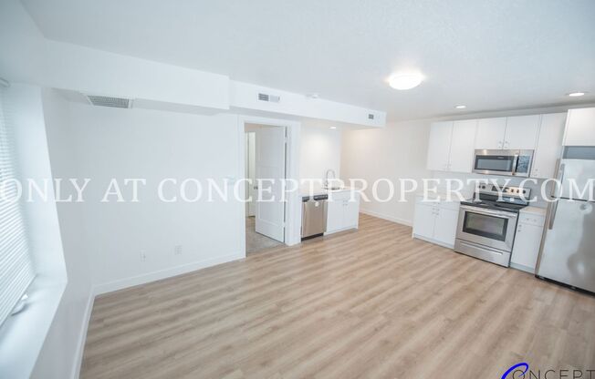 1 bed, 1 bath, 402 sqft, $1,249, Unit 132- (41)