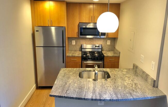 Studio, 1 bath, 440 sqft, $2,300, Unit 0218