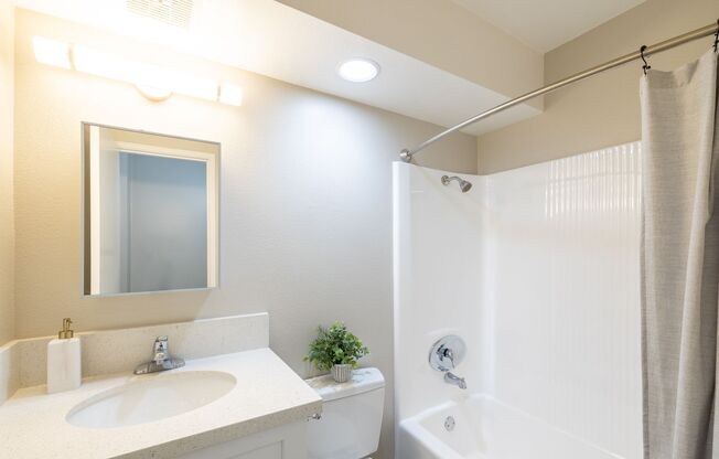 Studio, 1 bath, 400 sqft, $1,750, Unit 303