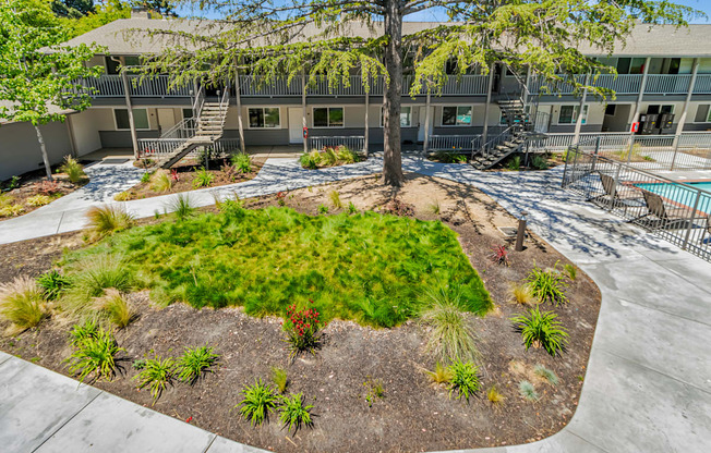 A tree in a landscaped area in front of a building.