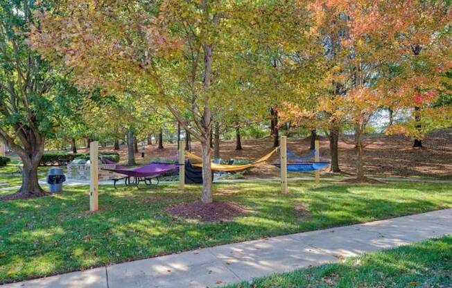 A park with a picnic table and a playground.