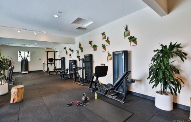 1 bed, 1 bath, 120 sqft, $1,295, Unit Room 1
