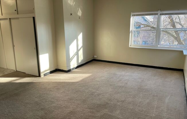 Studio, 1 bath, $875, Unit 301